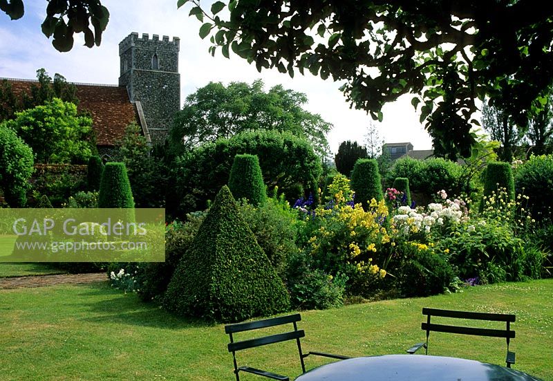 Table and chair on lawn with border of Buxus pyramids, Taxus fastigiata and perennials -  Church in background - Saling Hall, Essex