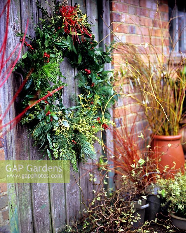 Christmas wreath on door, containers of stems and foliage, holly, yew, buxus, cedar