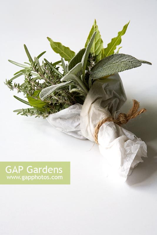 Small fresh posy of garden herbs wrapped in white tissue paper - Bouquet garni