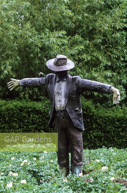 Bronze scarecrow amongst the potatoes in the kitchen garden at Raymond Blanc's Le Manoir aux Quatre Saisons