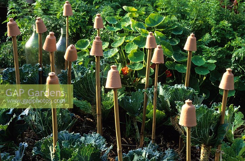 Decorative terracotta cane tops to protect eyes in the vegetable garden