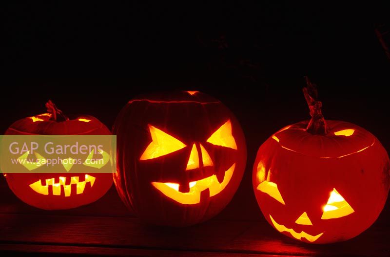 Three pumpkin lanterns for Halloween lit with tea-lights