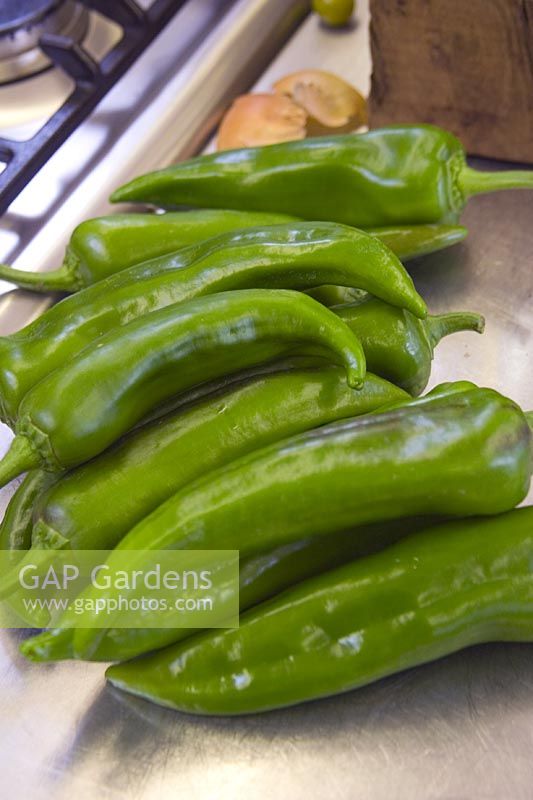 Capsicum annum - Sweet Pepper in a kitchen ready for cooking