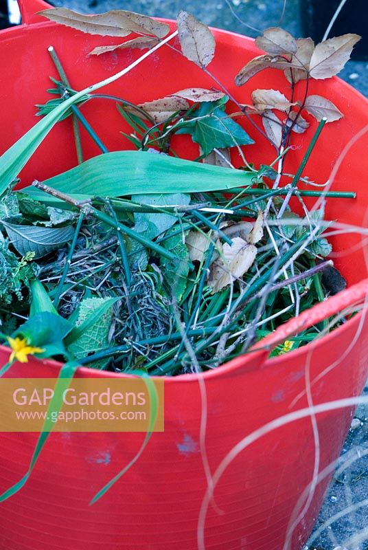 Weeds and clippings in a red plastic trug waiting to be composted