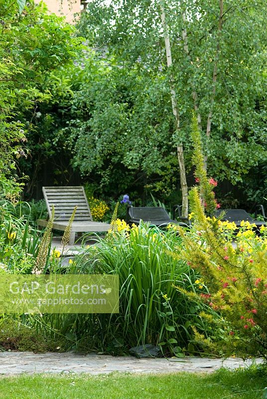 Wooden and medtal sun chairs, a multi-stem Betula pendula, syn. B. alba, Mimulus luteus and a Carex by a Natural Swimming Pond in Cambridge