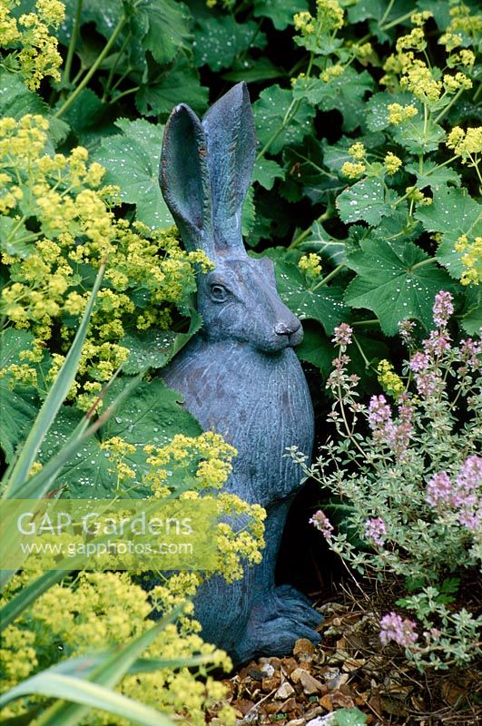 'Horace the Hare' sculpture by Dennis Fairweather surrounded by Alchemilla mollis and Thymus 'Silver Posie'