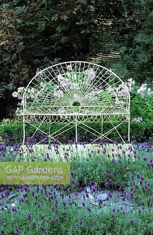 White iron seat and lavender maze with slate paths