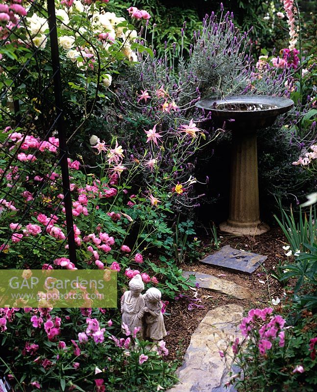 Cottage garden with birdbath, Rosa 'Raubritter', Lavandula and Aquilegia