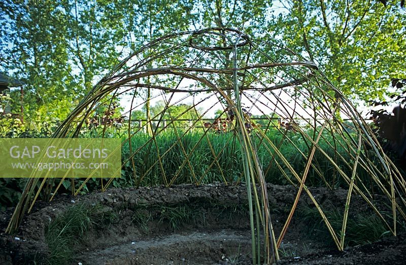 Newly planted Salix, willow igloo - The Lucy Redman School of Garden Design, Suffolk