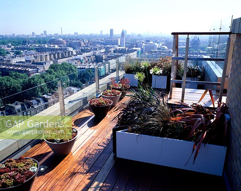 African themed roof terrace with view over London - Mixed sempervirens, Phormium tenax, Phormium 'Platts Black', Agapanthas alba and Carex buchananii on hardwood iroko decking