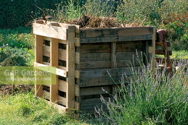 Wooden compost bin on allotment