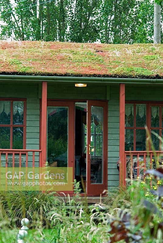 Living roof with sedums on the roof of the garden pavilion, June