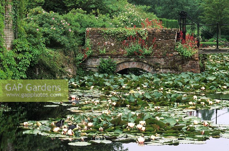 Moat with waterlilies - Mannington Hall, Norfolk 