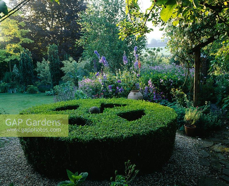 Box topiary circle, backed by blue border with cretan pot and Delphiniums