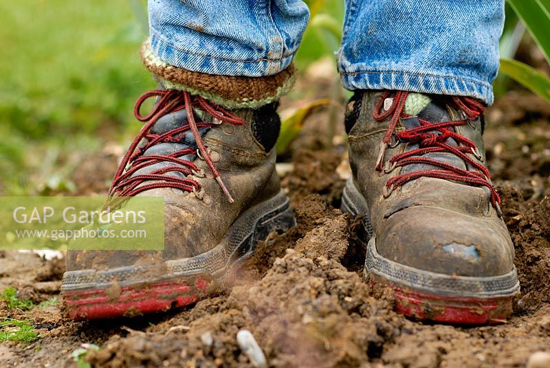 Well worn muddy work boots standing in garden soil.