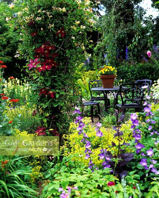 View to table and seats, Clematis and Lonicera on pergola