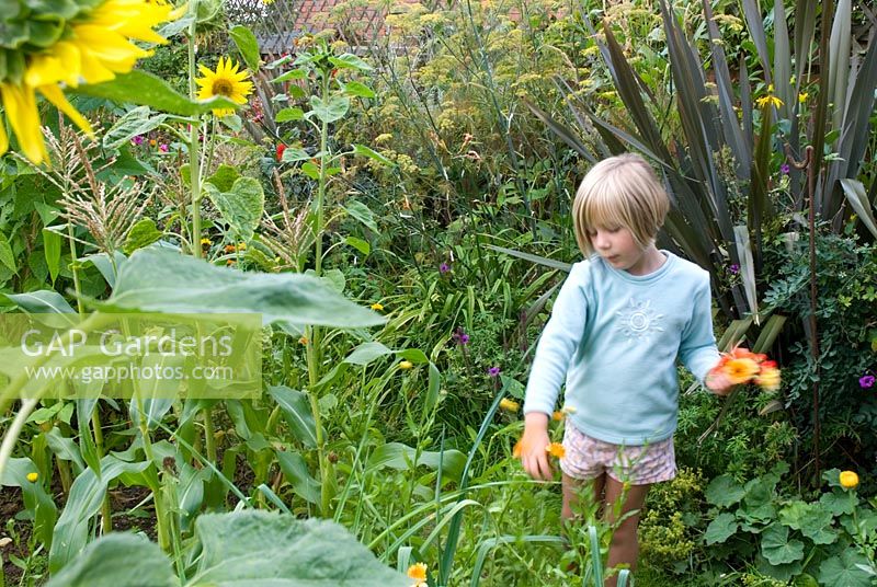 Young girl picking flowers from summer border - blurred motion
