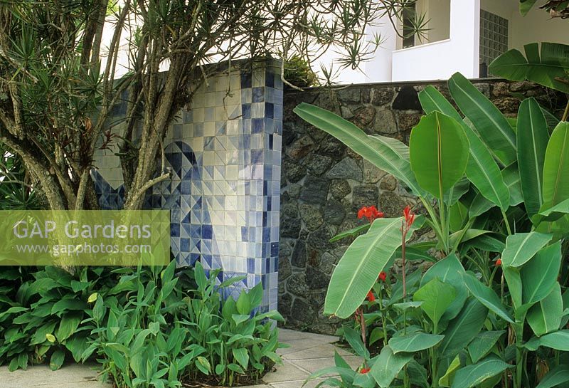 Contemporary blue and white tiled wall beside stone wall and tropical style planting of Canna and Musa - Instituto Moreira Salles, Rio de Janiero, Brazil 