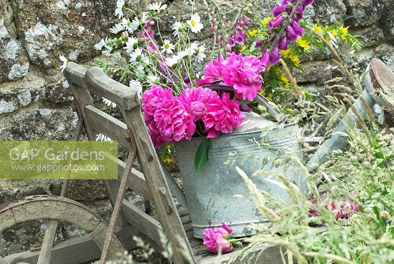 Still Life outdoors with flowers in galvanised watering can on old rustic wheelbarrow 