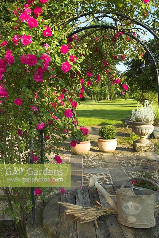 French garden and patio. Old well with climbing rose growing on trellis, galvanised watering can and bunch of wheat on wooden cover - Pots of Buxus  Sempervirens in background. 