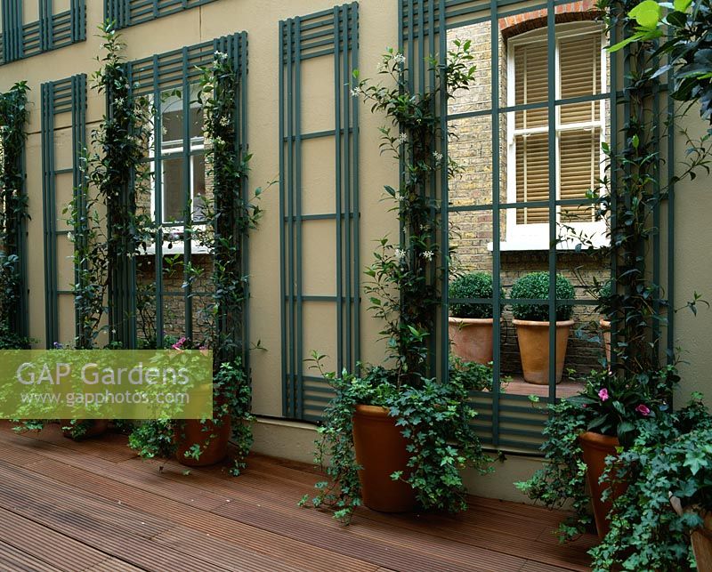 Courtyard with decking, mirrors, trellis, terracotta pots with trailing ivy and painted wall. 