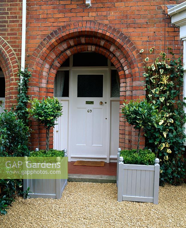 Albert Road make-over - After with buff cotswold gravel, silver versailles tubs with box and clipped Laurus nobilis, Hedera colchica 'Dentata Variegata', Hedera 'Hibernica' and Trachelospermum jasminoides