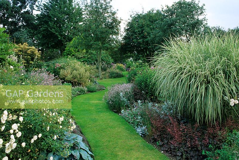 Summer double borders with lawn path running through centre at Glen Chantry, Wickham Bishops, Essex.