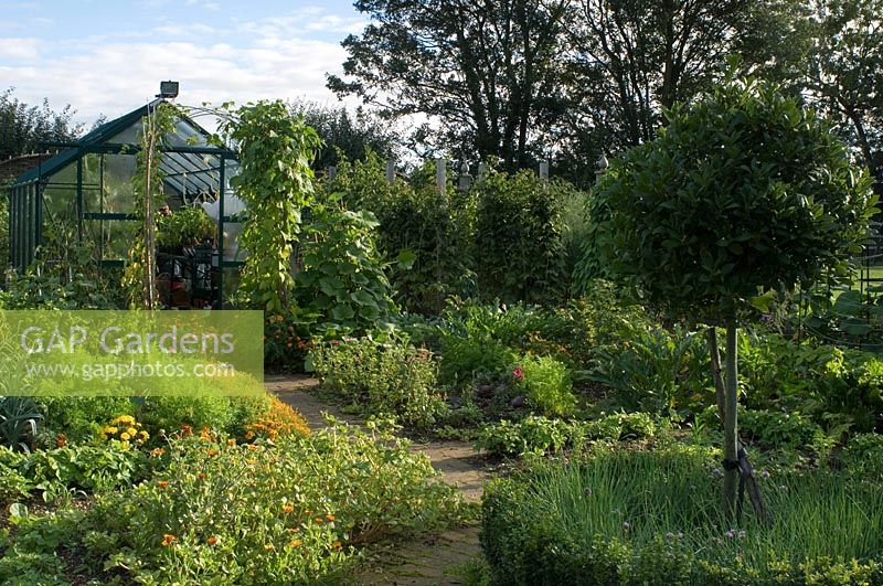 Vegetable garden with greenhouse at Pannells Ash Farm West, Essex