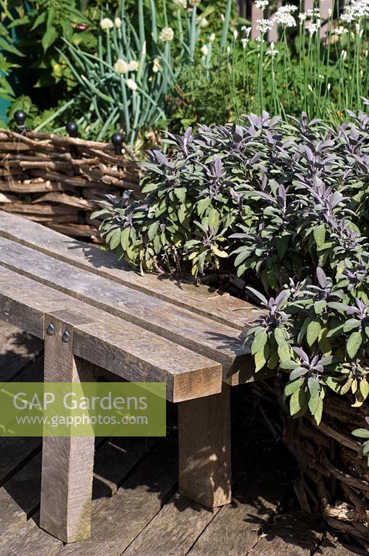 Wooden bench in organic edible roof garden -Reading International Solidarity Centre