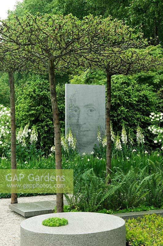 Millstone and picture of Linnaeus in border of white Digitalis, Iris and Ferns. Pleached Malus 'Evereste' trees - 'A Tribute to Linnaeus', Chelsea 2007 