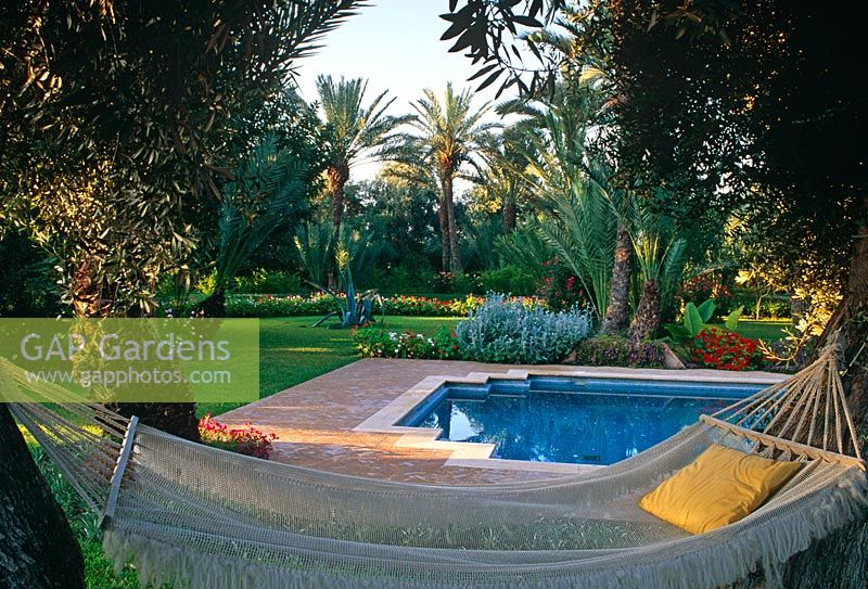 Exotic, shady Morrocan garden with date palm trees, hammock and swimming pool - Marrakech, Morocco