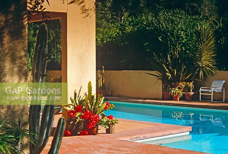 Cactus Garden with swimming pool - Birnam Wood Drive, Montecito, Ca. USA