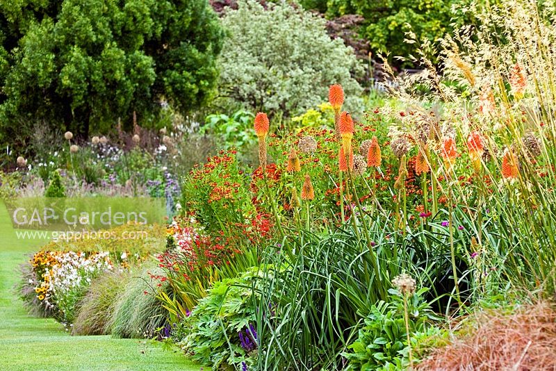 Late summer border at RHS Harlow Carr