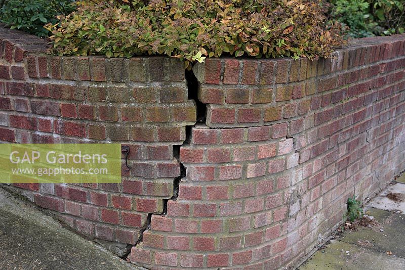 Crack in raised brick retaining wall in front garden