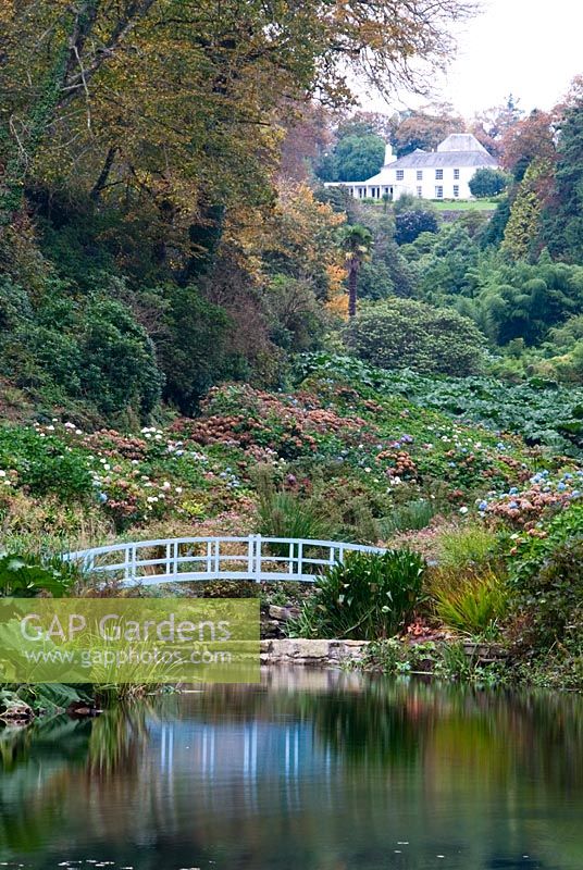 The Mallard Pond with the Hydrangea valley rising behind - Trebah, Mawnan Smith, nr Falmouth, Cornwall