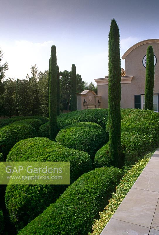 Formal cloud pruned Buxus with fastigiate Cypress trees by house - Madrid, Spain