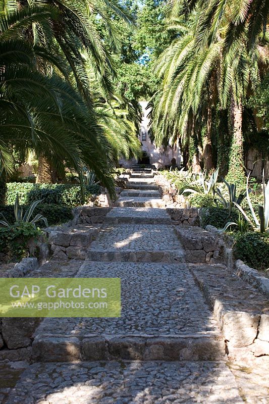 Entrance to Jardines de Alfabia, Mallorca with cobble stone staircase, palm trees and cactus