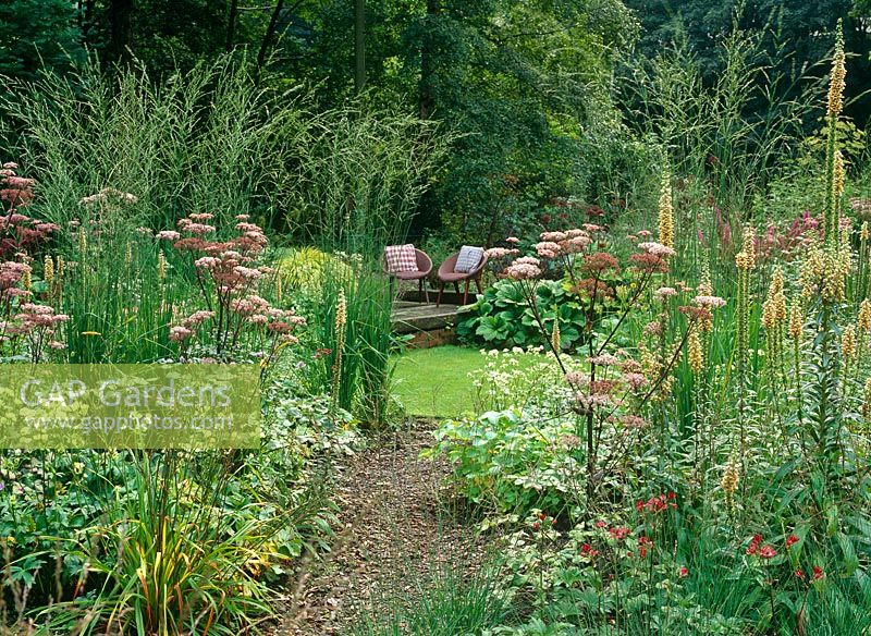 Angelica sylvestris 'Vicar's Mead' and Molinia caerulea Arundinacea 'Transparent' edge a pathway to raised deck area with vintage wicker chairs in a shady, damp garden