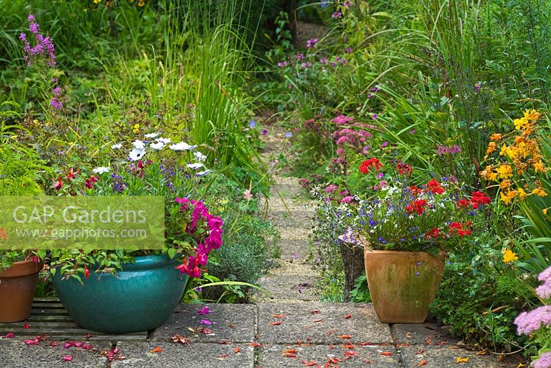 Paved patio with containers late summer - Duncan Skene's garden in Somerset