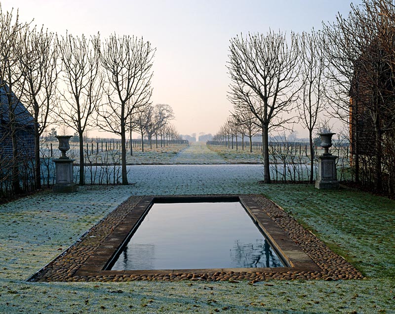 The main west facing axis with the rectangular swimming pool framed by clipped Aesculus hippocastanum - horse chestnut trees - David Hicks' garden