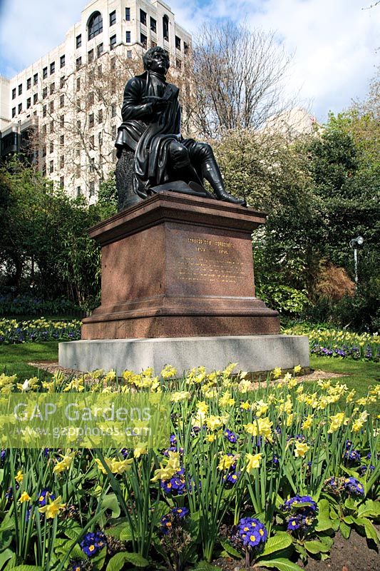 Statue of Robert Burns, the Scottish Poet -  Victoria Embankment gardens, Charing Cross, London with Spring bedding display of Primula and Narcissus