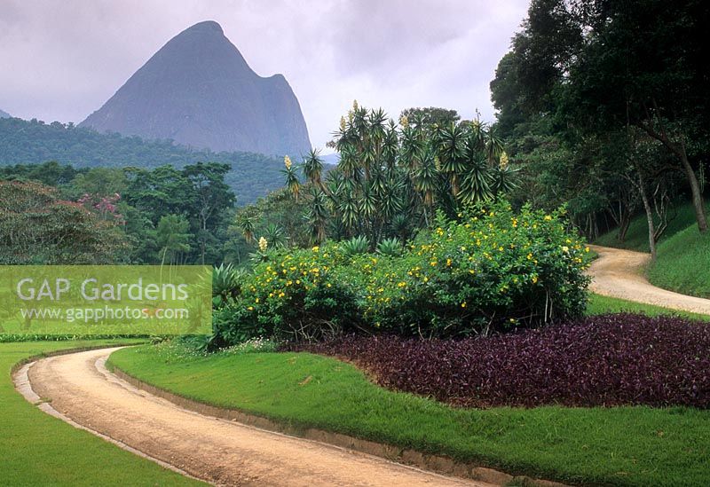 Winding pathway through tropical garden - Fazenda Marambaia, Petropolis, Brazil