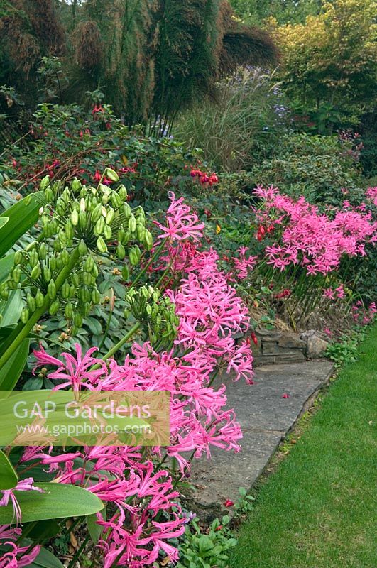 Autumnal beds in October