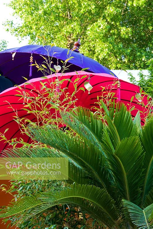 Balinese parasols in tropical garden 