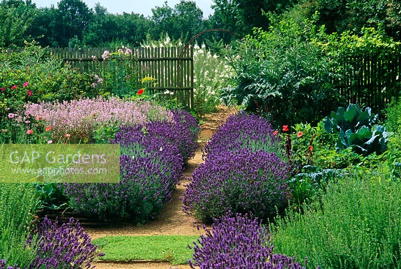 Contemporary country style garden - Jardin Plume, Auzonville, Nr Rouen, France