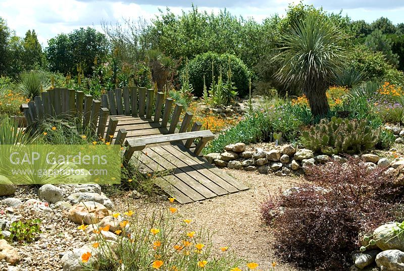 Californian style garden landscape - The Desert Wash Garden, The Old Vicarage, East Ruston, Norfolk