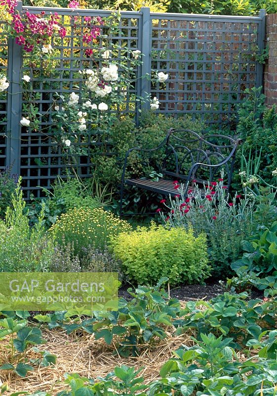 Strawberry bed with herbs and seat with trellis