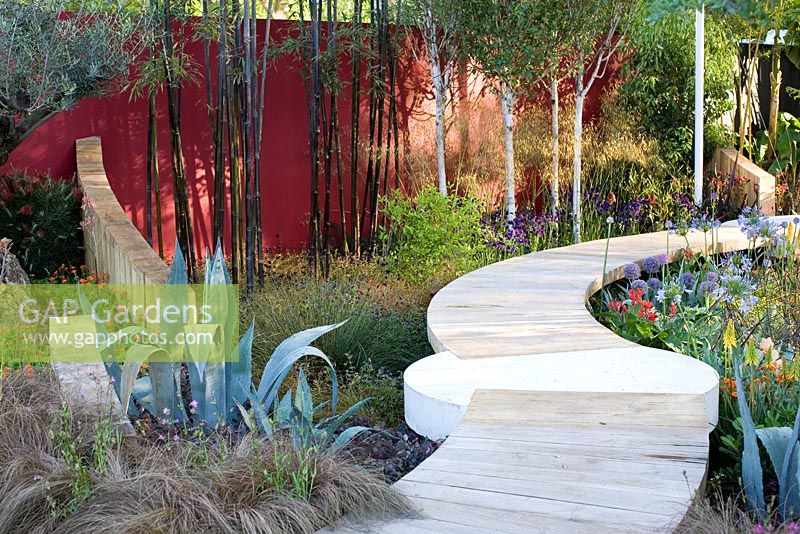 The Lloyds TSB Garden, Design - Trevor Tooth, Sponsor LLoyds TSB - Chelsea Flower Show 2008 - Phyllostachys nigra bamboo agains red painted wall, Betula 'Himalayan Birch', Stipa gigantea, oak pathways with concrete platforms, Allium and Agapanthus.