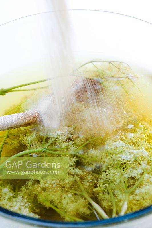 Making Elderflower cordial - Adding sugar to Elderflowers and hot water whilst being stirred in glass bowl