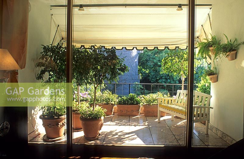 Balcony shaded by canopy with bench and containers